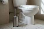 Bloc WC tombé dans les toilettes : comment le récupérer ?